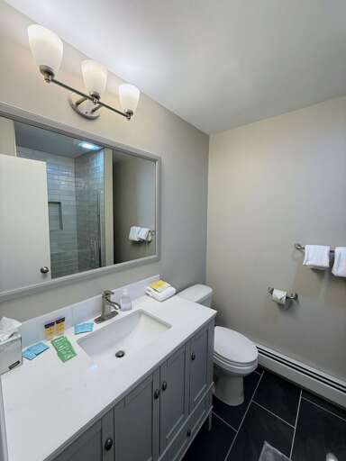 Primary Bathroom on Lower Level with Shower