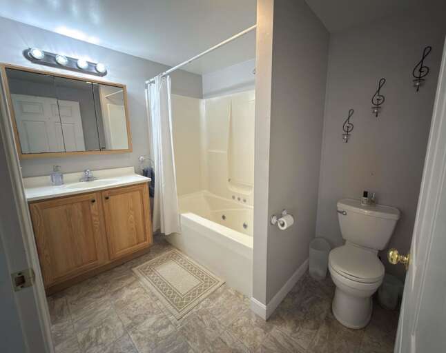 Main Level King Bedroom Ensuite Bath