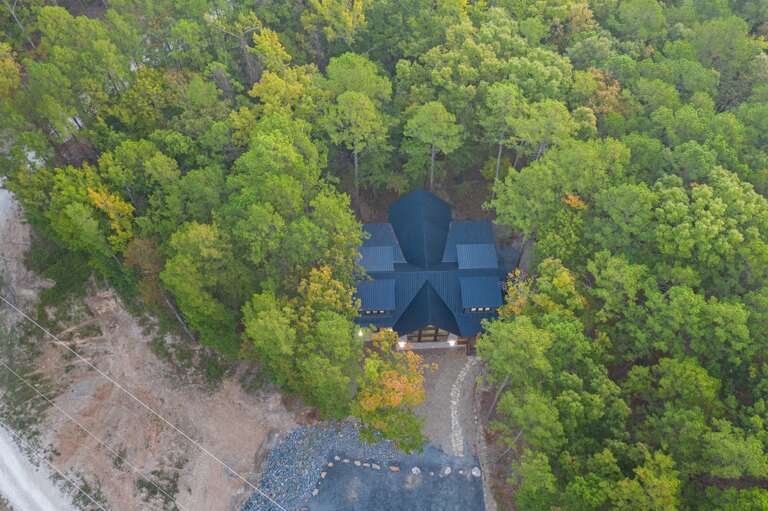 Beautiful trees surrounding the cabin