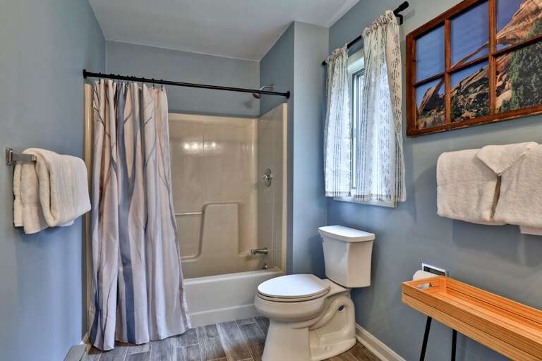 Full bath with shower and tub combination. Sparkling clean and stocked with fresh towels.
