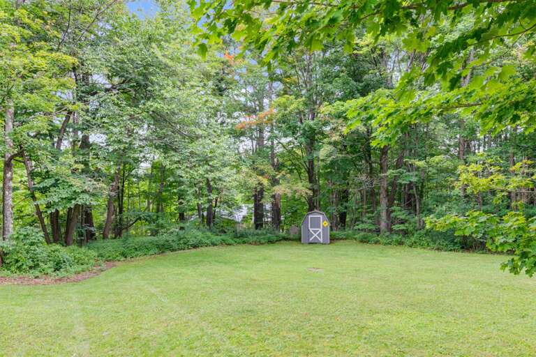 The open yard leaves plenty of space to play beneath the surrounding trees.