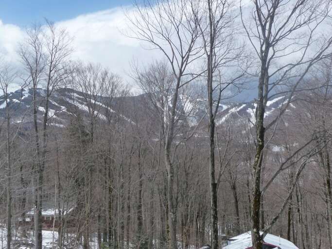 Killington Home Rental