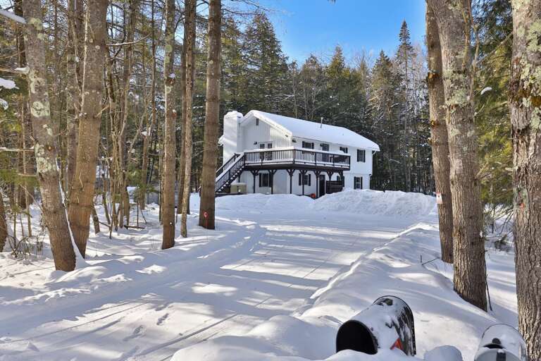 The Output Double is a scenic, two-story house nestled in a lush, wooded environment, with an elevated deck. (This listing is for its lower unit.)