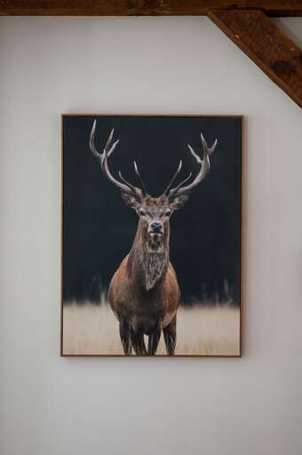 Framed wildlife artwork displayed on a white interior wall.