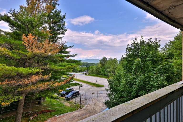 Fresh air comes with treetop views and a glimpse of the mountains in the distance.