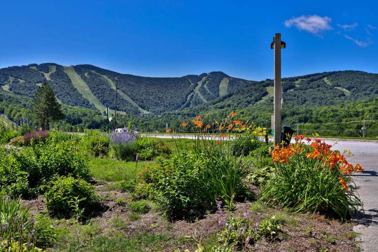 Take in a broad summer view of Killington's green ski trails and surrounding ridgeline.