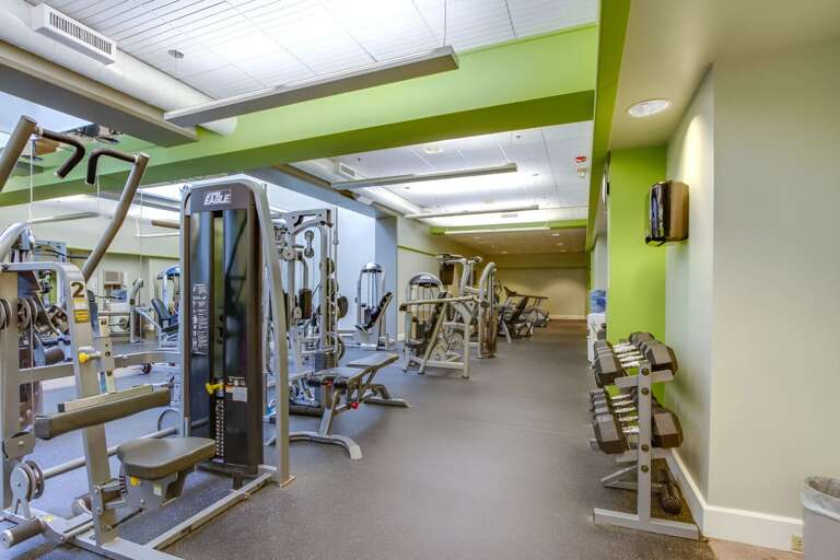 Free weights, benches, and strength machines cover far more than the basics.