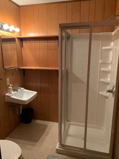 This upstairs full bathroom has an enclosed shower, sink, and toilet.