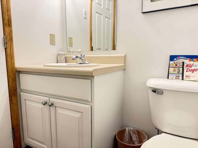 A single-sink vanity has a cabinet beneath it for toiletries.