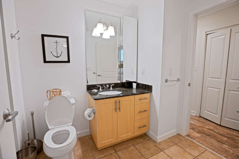 Guest bath