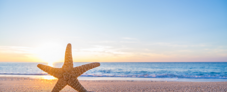 Starfish On Beach At Sunrise Starfish On Beach At Sunrise