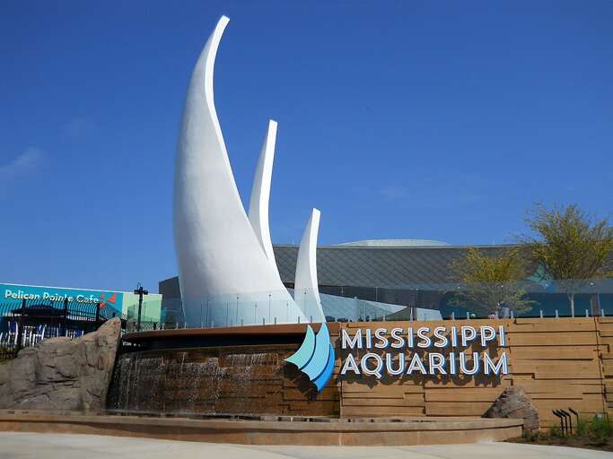 Mississippi Aquarium Mississippi Aquarium