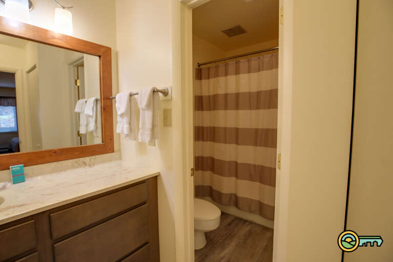 Powder room & bathroom