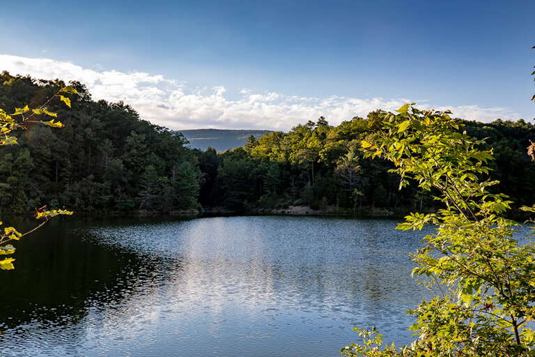 Lake Surrounded By Trees Under A Blue Sky With Clouds