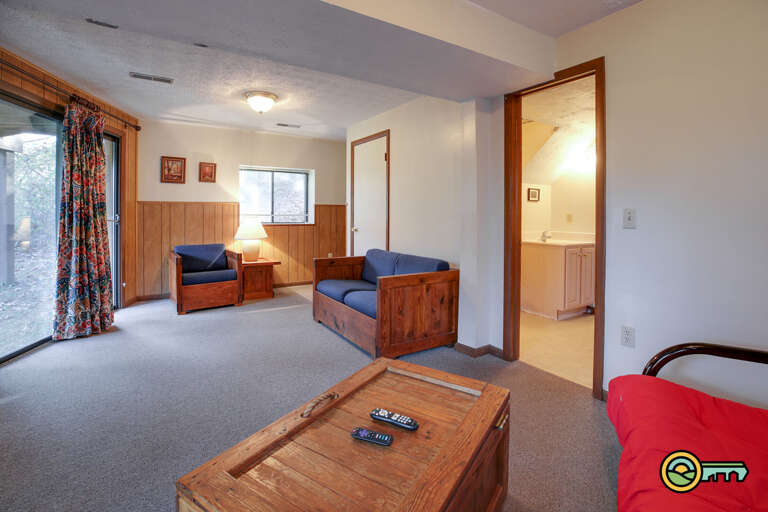 Basement living room