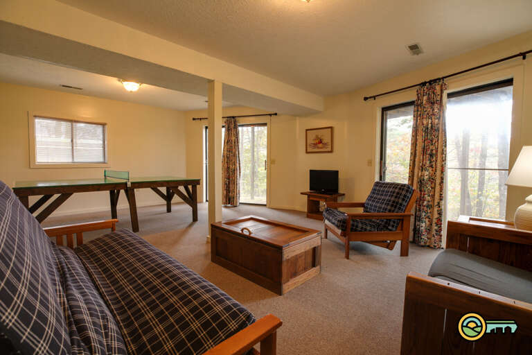 Basement living room