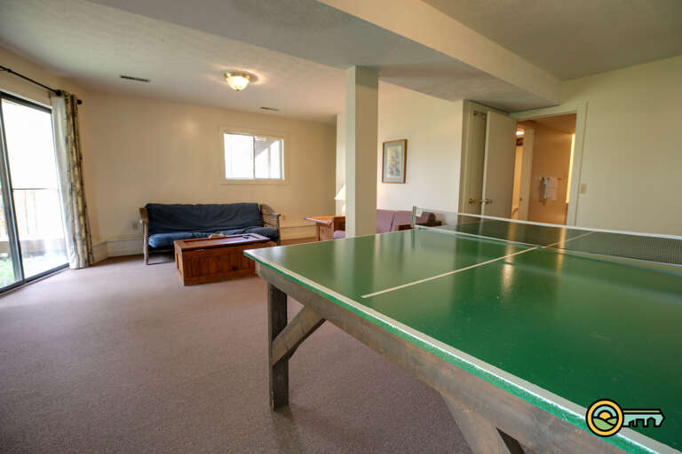 Ping pong table in basement living room