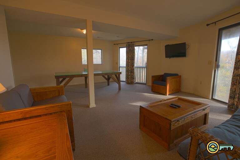 Basement living room