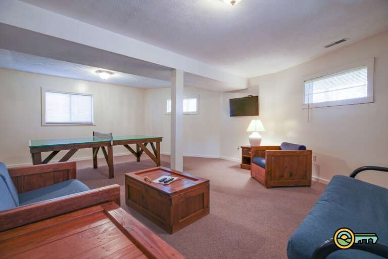 Basement living room Basement living room