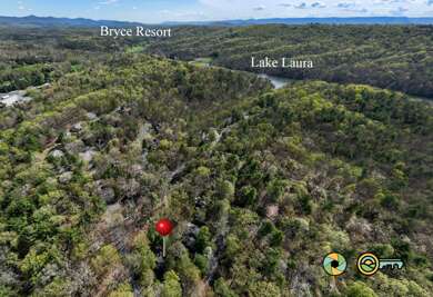 Lakeview 85B: Treehouse Mountain