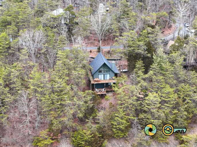 Cabin Cocooned In A Canopy Of Trees