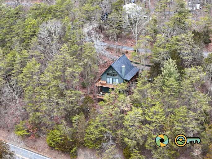 Cabin Nestled In Dense, Deciduous Forest