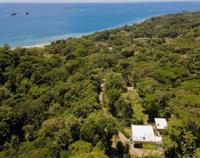 Secluded Structure Surrounded By Dense Greenery Near Serene Sea Shore