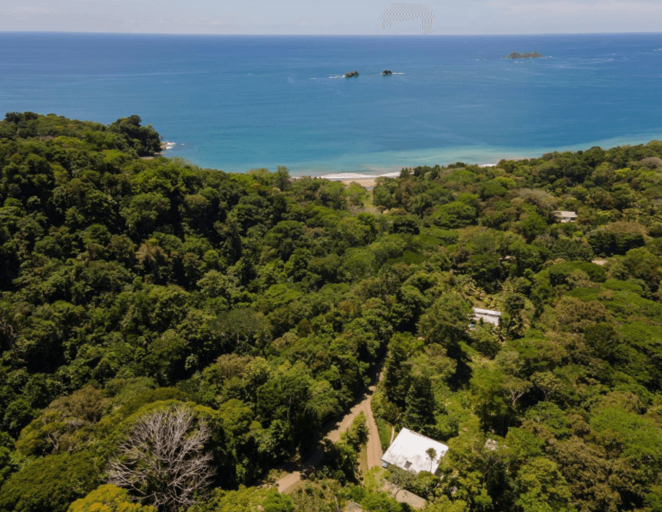 Aerial View Of A Lush Forest Close To A Beach
