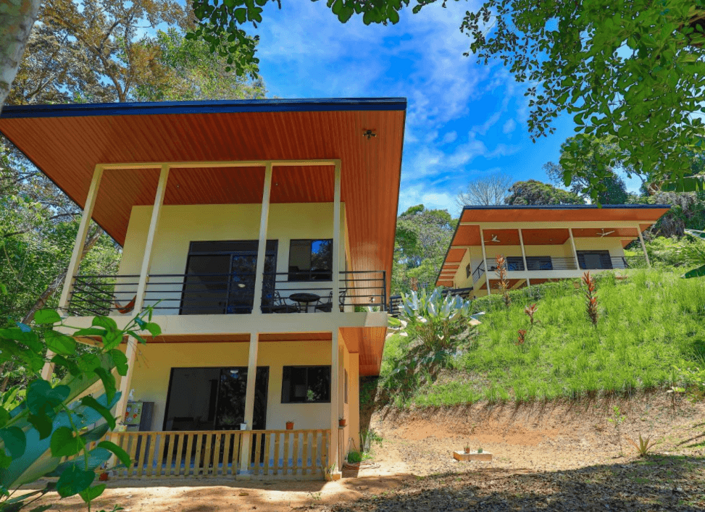 Modern Buildings In Tropical Forest Setting