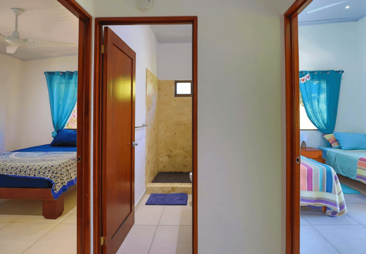 Interior Room View With Open Door, Two Beds And Blue Curtains