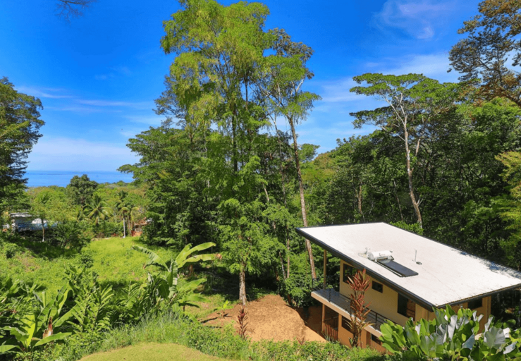 Tropical Landscape With Building And Lush Greenery