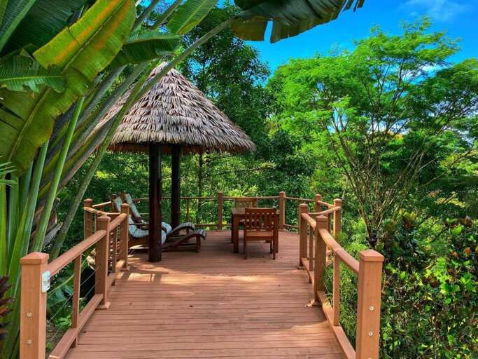Thatched Gazebo And Wooden Walkway Nestled Amidst Lush Greenery