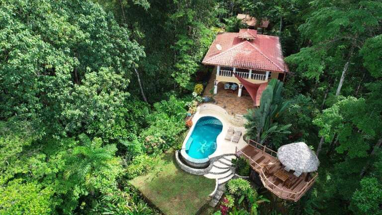 Aerial View Of A House With Pool Surrounded By Greenery