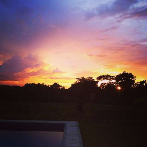 Sunset Sky With Silhouetted Trees