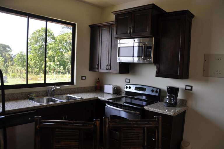 Modern Kitchen Interior With Dark Cabinets And Appliances, Overlooking Greenery Through Window