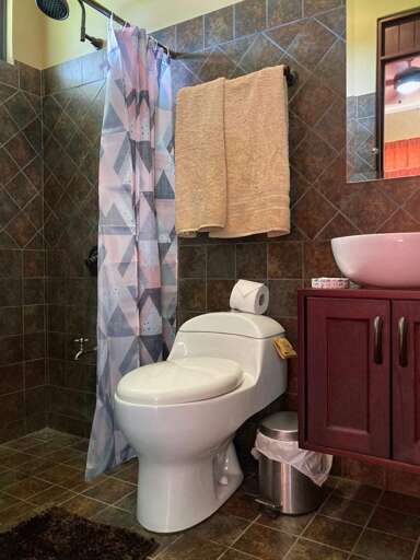 Bathroom With Toilet, Sink, And Shower Curtain