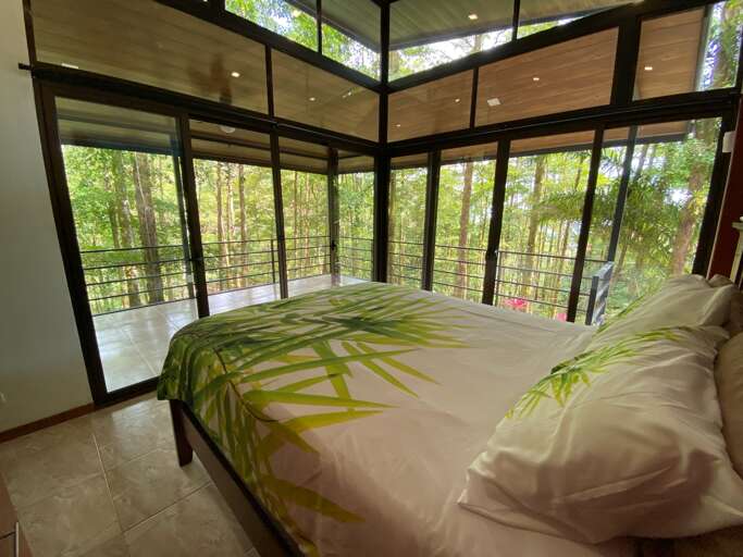 Interior Room With Bed And Large Windows Overlooking Trees Interior Room With Bed And Large Windows Overlooking Trees