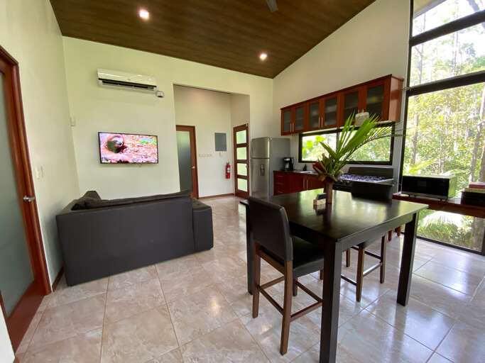Modern Room Interior With Furniture And Plants Modern Room Interior With Furniture And Plants