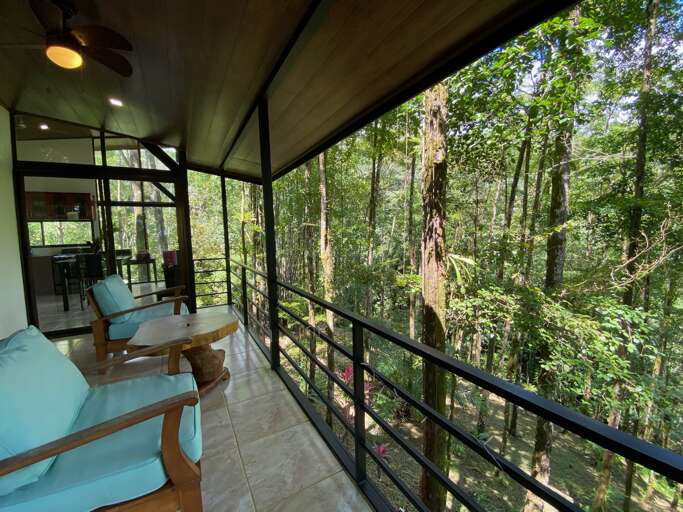 Indoor View Of A Room With Large Windows Overlooking A Forest Indoor View Of A Room With Large Windows Overlooking A Forest