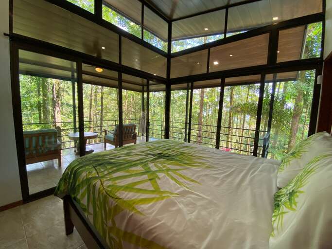 Bedroom With Large Windows And Forest View Bedroom With Large Windows And Forest View