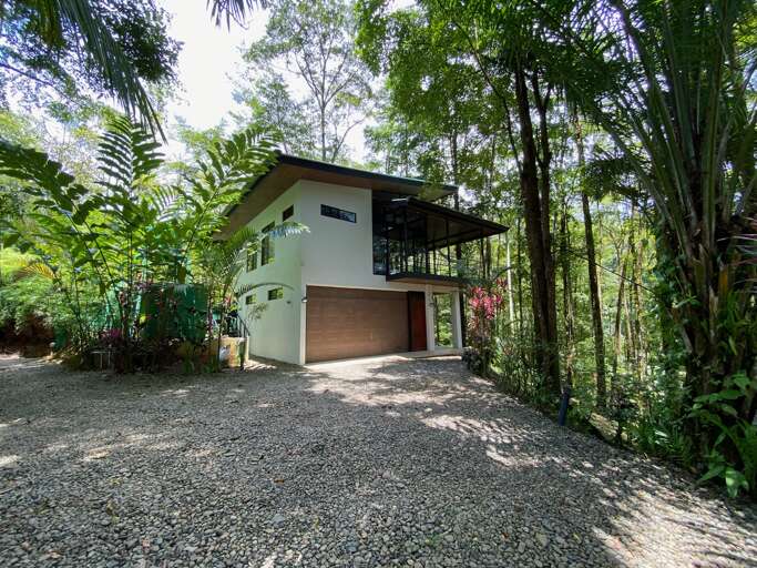 Modern House Surrounded By Forest Modern House Surrounded By Forest