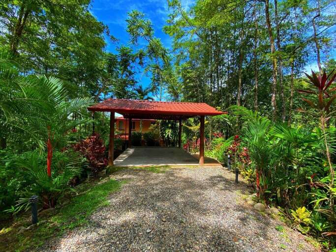 Tropical Lodge Surrounded By Lush Foliage Tropical Lodge Surrounded By Lush Foliage