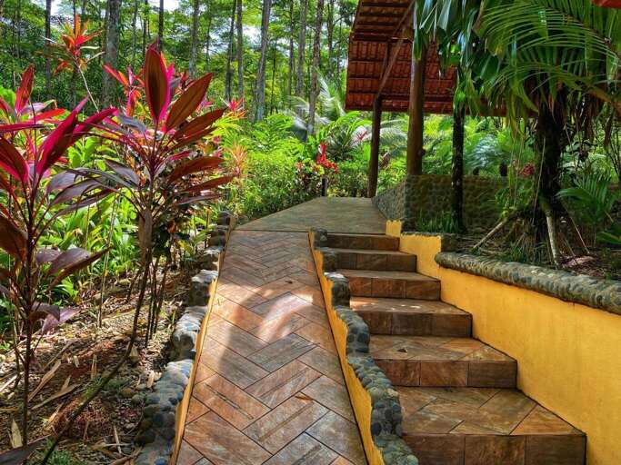 Garden Path Leading To A Structure Surrounded By Tropical Foliage Garden Path Leading To A Structure Surrounded By Tropical Foliage