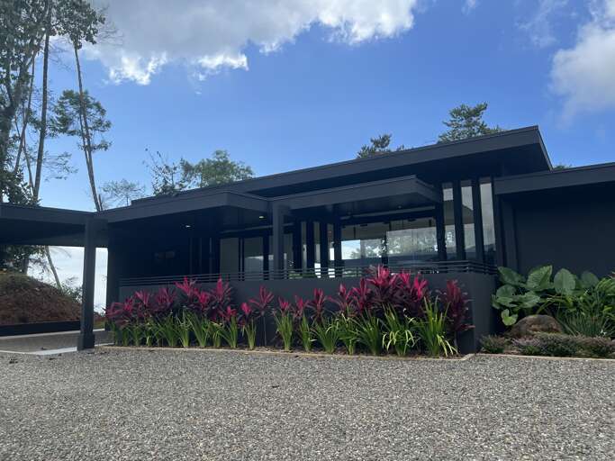 Modern Black House Surrounded By Plants Under A Blue Sky
