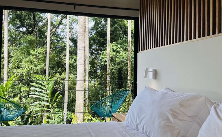 Bedroom With A Bed And View Of The Forest Through Large Glass Window Bedroom With A Bed And View Of The Forest Through Large Glass Window