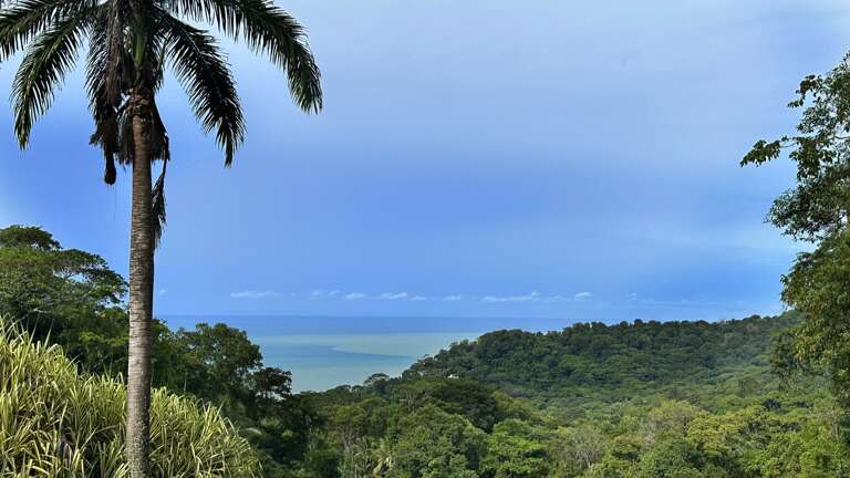 Tropical Coastal View With Forest And Sea Tropical Coastal View With Forest And Sea