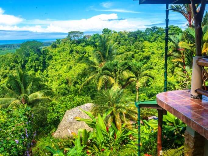 Tropical Landscape View From Balcony Tropical Landscape View From Balcony