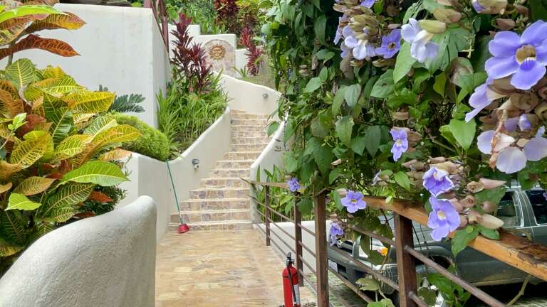Floral Staircase Outdoors Floral Staircase Outdoors