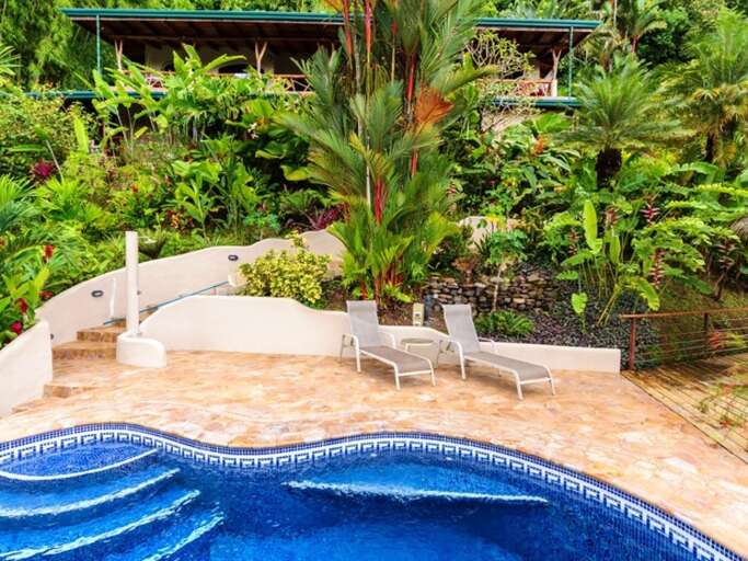 Swimming Pool With Surrounding Tropical Vegetation And Lounge Chairs Swimming Pool With Surrounding Tropical Vegetation And Lounge Chairs
