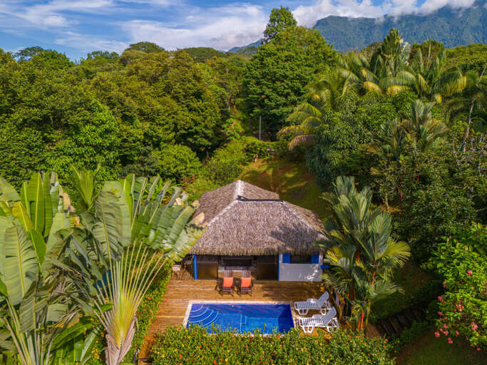 Aerial View Of A Thatched-roof House With Pool In Tropical Forest Aerial View Of A Thatched-roof House With Pool In Tropical Forest